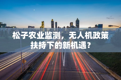 松子农业监测，无人机政策扶持下的新机遇？