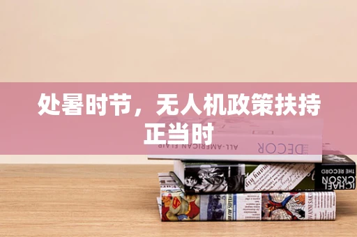 处暑时节，无人机政策扶持正当时