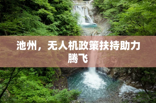 池州，无人机政策扶持助力腾飞