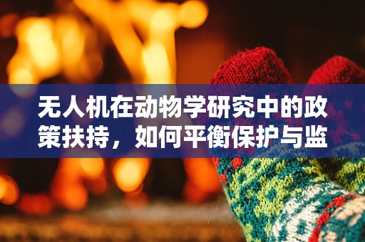 无人机在动物学研究中的政策扶持，如何平衡保护与监测？
