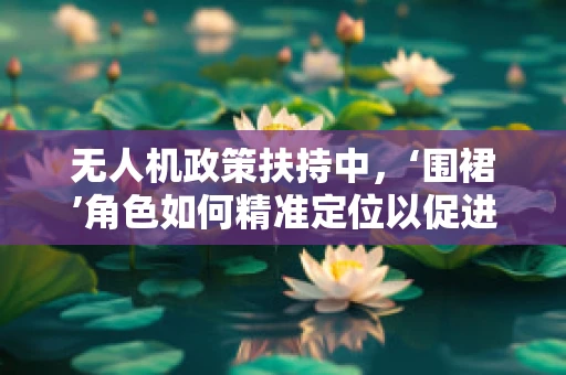 无人机政策扶持中，‘围裙’角色如何精准定位以促进安全与效率？