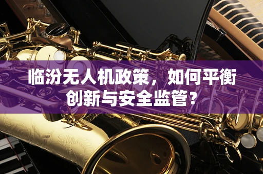 临汾无人机政策，如何平衡创新与安全监管？