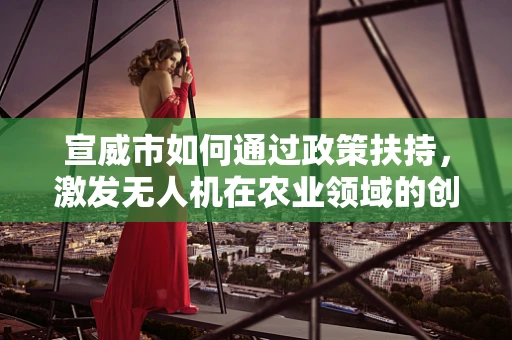 宣威市如何通过政策扶持，激发无人机在农业领域的创新应用？