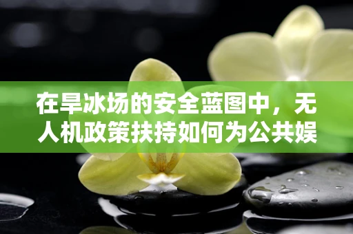 在旱冰场的安全蓝图中，无人机政策扶持如何为公共娱乐空间保驾护航？