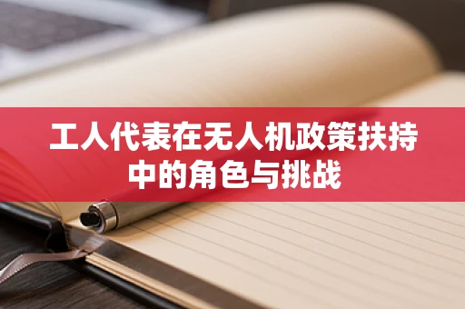 工人代表在无人机政策扶持中的角色与挑战