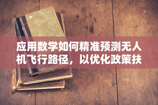 应用数学如何精准预测无人机飞行路径，以优化政策扶持效果？