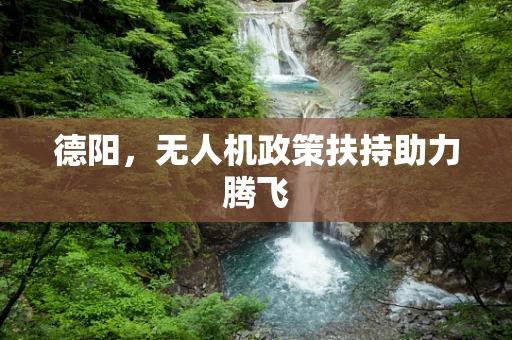 德阳，无人机政策扶持助力腾飞