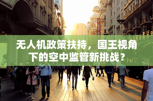 无人机政策扶持，国王视角下的空中监管新挑战？