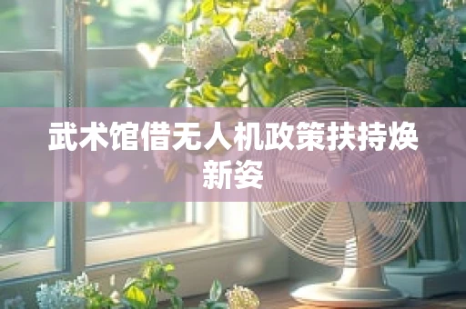 武术馆借无人机政策扶持焕新姿