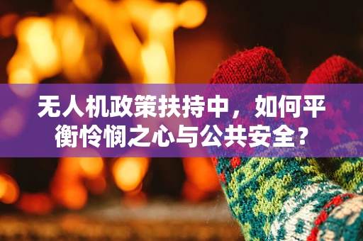无人机政策扶持中，如何平衡怜悯之心与公共安全？