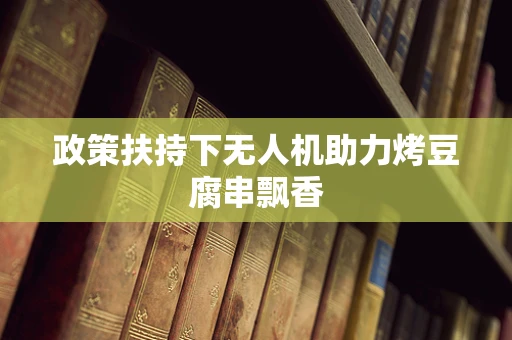 政策扶持下无人机助力烤豆腐串飘香