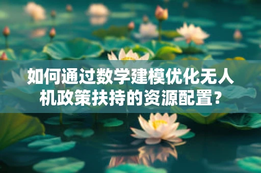 如何通过数学建模优化无人机政策扶持的资源配置？