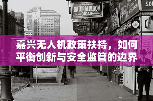 嘉兴无人机政策扶持，如何平衡创新与安全监管的边界？