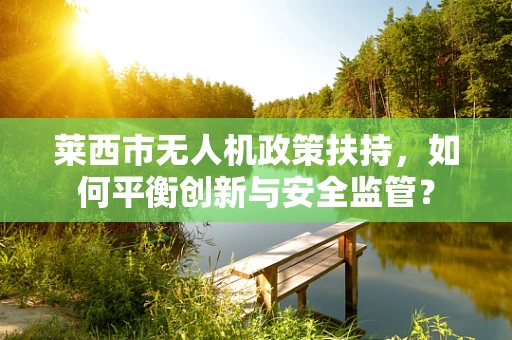 莱西市无人机政策扶持，如何平衡创新与安全监管？