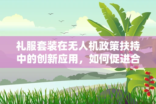礼服套装在无人机政策扶持中的创新应用，如何促进合规与美观的双重提升？