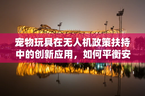 宠物玩具在无人机政策扶持中的创新应用，如何平衡安全与乐趣？