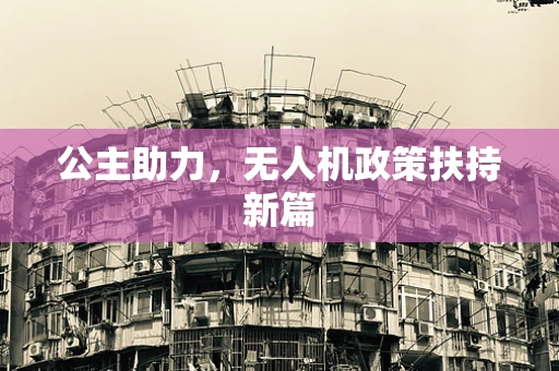 公主助力，无人机政策扶持新篇