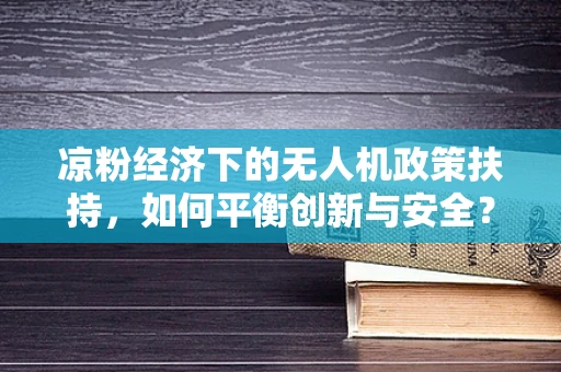 凉粉经济下的无人机政策扶持，如何平衡创新与安全？