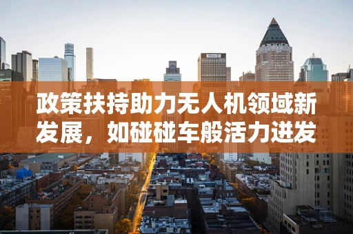 政策扶持助力无人机领域新发展，如碰碰车般活力迸发