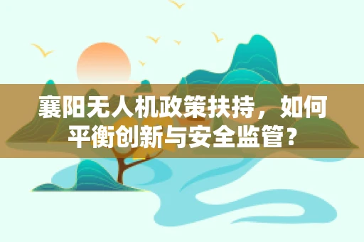襄阳无人机政策扶持，如何平衡创新与安全监管？