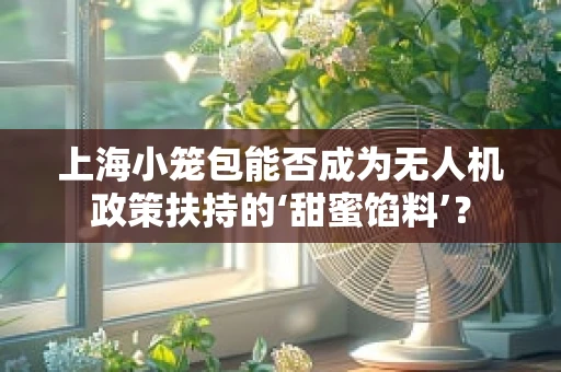 上海小笼包能否成为无人机政策扶持的‘甜蜜馅料’？