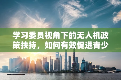 学习委员视角下的无人机政策扶持，如何有效促进青少年科普教育？