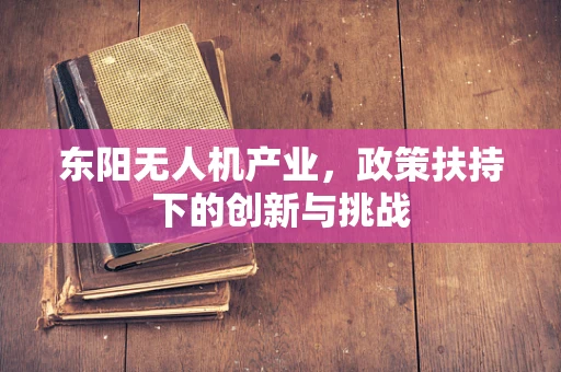 东阳无人机产业，政策扶持下的创新与挑战