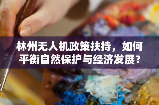 林州无人机政策扶持，如何平衡自然保护与经济发展？