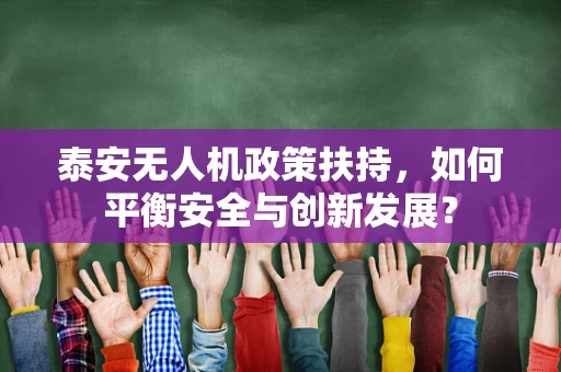泰安无人机政策扶持，如何平衡安全与创新发展？