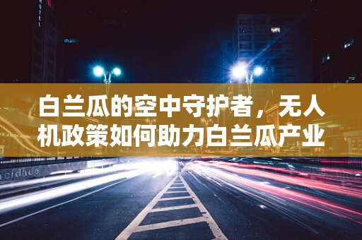 白兰瓜的空中守护者，无人机政策如何助力白兰瓜产业高效种植？