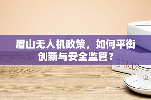眉山无人机政策，如何平衡创新与安全监管？
