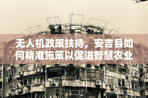 无人机政策扶持，安吉县如何精准施策以促进智慧农业发展？