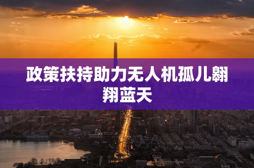 政策扶持助力无人机孤儿翱翔蓝天