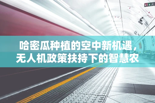 哈密瓜种植的空中新机遇，无人机政策扶持下的智慧农业探索