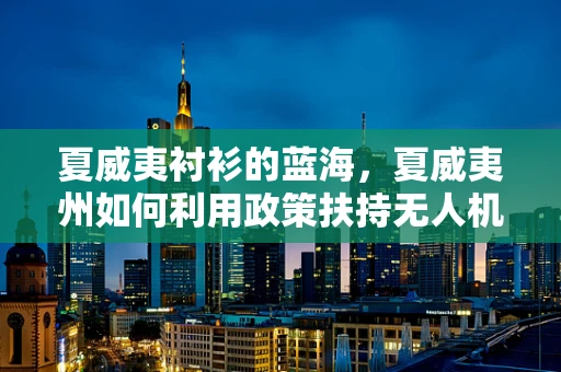 夏威夷衬衫的蓝海，夏威夷州如何利用政策扶持无人机产业？