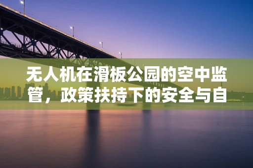无人机在滑板公园的空中监管，政策扶持下的安全与自由边界？