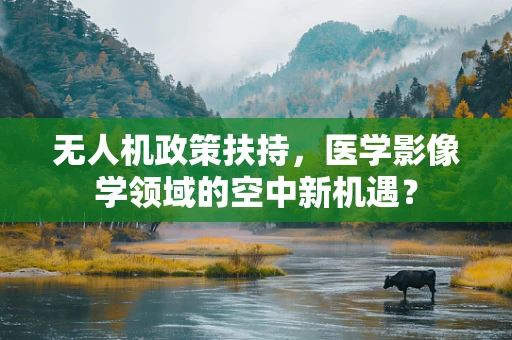 无人机政策扶持，医学影像学领域的空中新机遇？