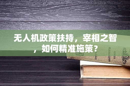 无人机政策扶持，宰相之智，如何精准施策？