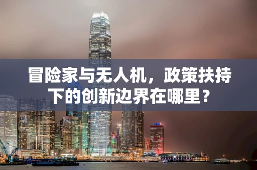 冒险家与无人机，政策扶持下的创新边界在哪里？
