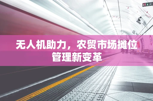 无人机助力，农贸市场摊位管理新变革
