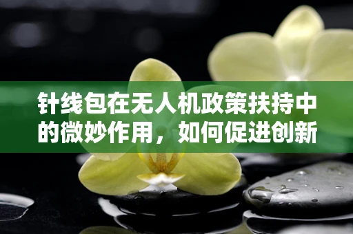 针线包在无人机政策扶持中的微妙作用，如何促进创新与安全并进？