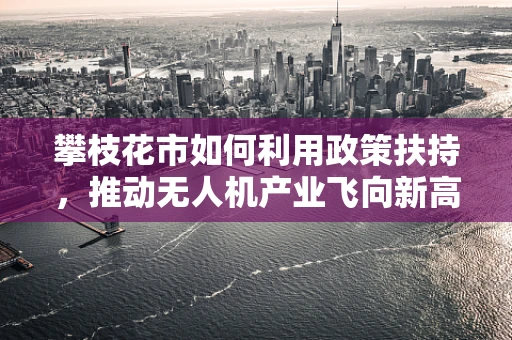 攀枝花市如何利用政策扶持，推动无人机产业飞向新高度？