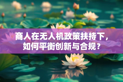 商人在无人机政策扶持下，如何平衡创新与合规？