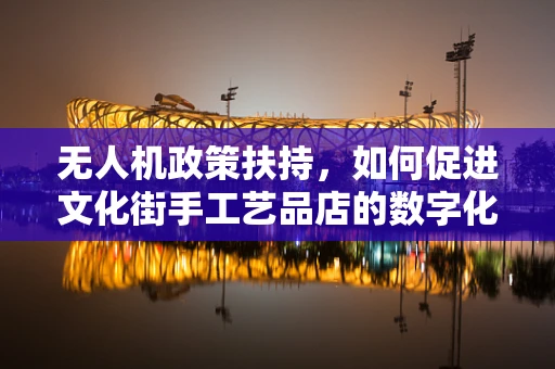 无人机政策扶持，如何促进文化街手工艺品店的数字化升级？