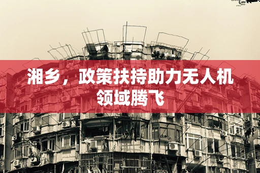 湘乡，政策扶持助力无人机领域腾飞