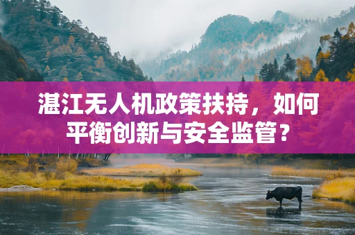 湛江无人机政策扶持，如何平衡创新与安全监管？
