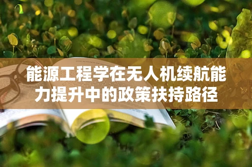 能源工程学在无人机续航能力提升中的政策扶持路径
