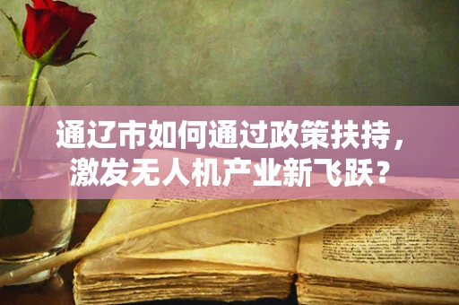 通辽市如何通过政策扶持，激发无人机产业新飞跃？
