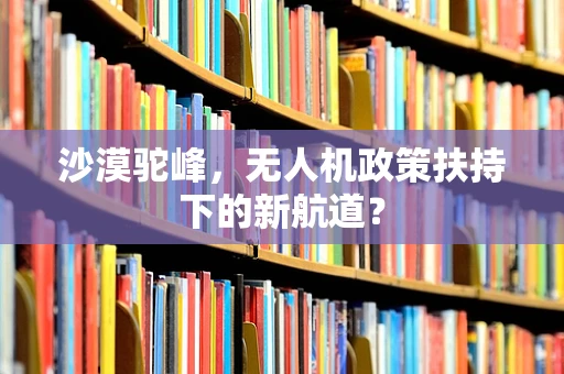 沙漠驼峰，无人机政策扶持下的新航道？