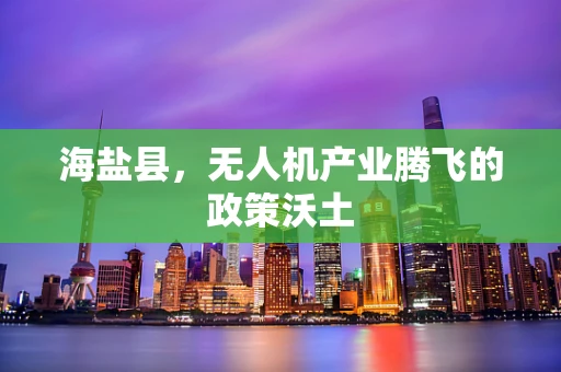 海盐县，无人机产业腾飞的政策沃土